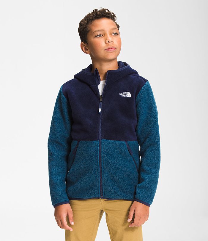 Chaqueta The North Face Niño Forrest Full Cremallera Sin Capucha Fleece - Colombia IMRKZP083 - Azules